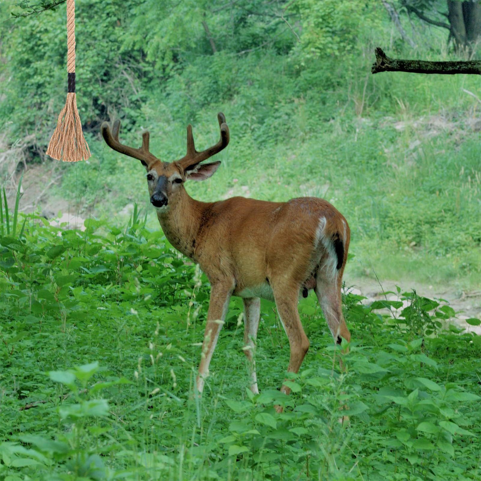 Deer Attractant Scent - Deer Scrape Effective Long-Lasting Attractant Scrape