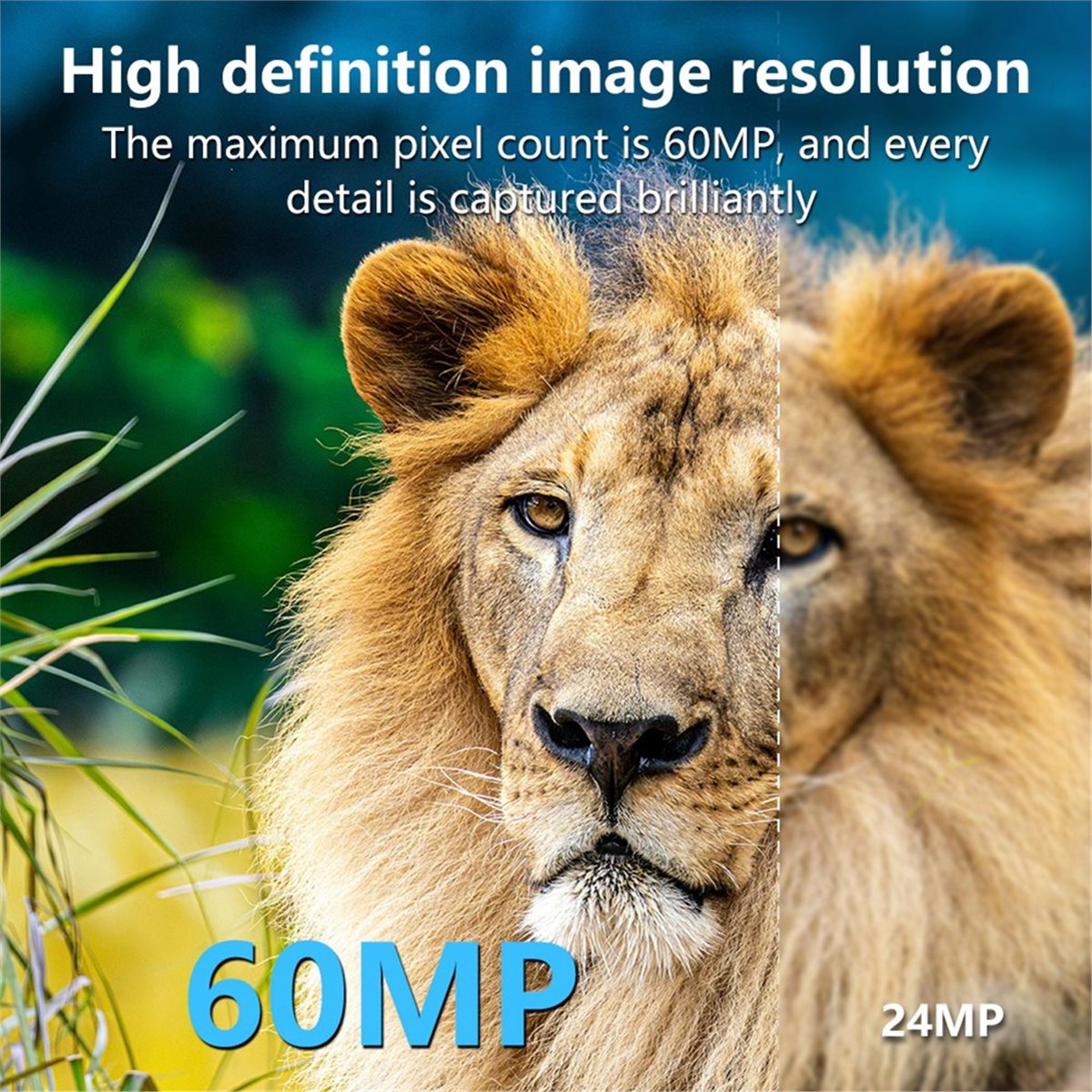 AS62 8K Hunting Camera HD Wild - Hunting Outdoor Rug 评论和价格