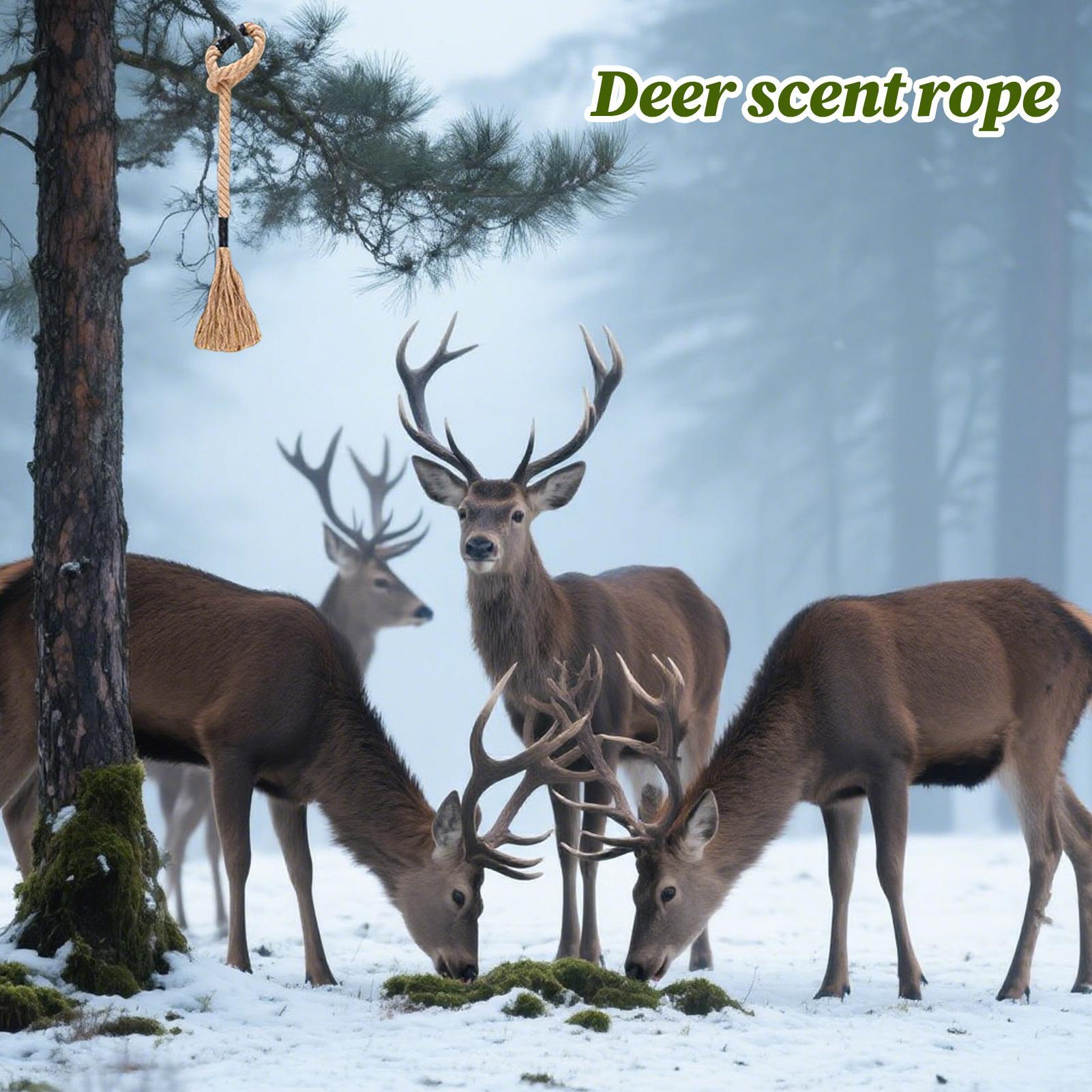 Deer Scrape Effective Long-Las - Deer Attractant Scent 评论和价格